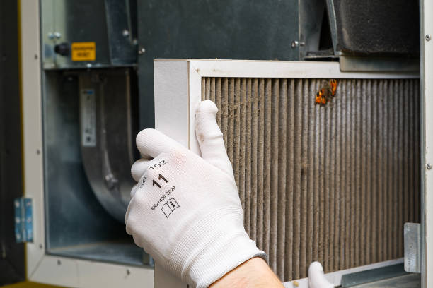 Best Ductwork Cleaning Services  in Arrowhead Beach, NC